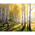 Kép 2/9 - Napos nyírfák - Számfestő készlet, kerettel (40x50 cm)