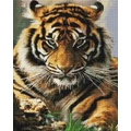 Kép 2/8 - Tigris - Gyémántszemes kirakó készlet, kerettel (40x50 cm)