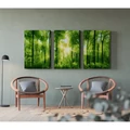 Kép 9/9 - Erdei napsugarak - Többrészes számfestő, kerettel (50x120 cm)