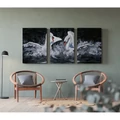Kép 9/9 - Életre szóló szerelem - Többrészes számfestő, kerettel (50x120 cm)