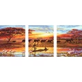 Kép 2/9 - Afrika kincsei - Többrészes számfestők, kerettel (50x120 cm)