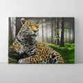 Kép 1/9 - Fenséges jaguár - Számfestő készlet, kerettel (40x50 cm)