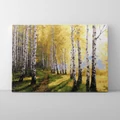 Kép 1/9 - Napos nyírfák - Számfestő készlet, kerettel (40x50 cm)