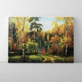 Kép 1/9 - Séta az erdőben - Számfestő készlet, kerettel (40x50 cm)