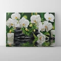 Kép 1/9 - Orchidea a vízen - Számfestő készlet, kerettel (40x50 cm)