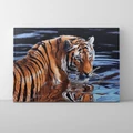 Kép 1/9 - Tigris a vízben - Számfestő készlet, kerettel (40x50 cm)