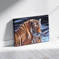 Kép 3/9 - Tigris a vízben - Számfestő készlet, kerettel (40x50 cm)