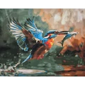Kép 2/8 - Repülő vadász - Számfestő készlet, kerettel (40x50 cm)