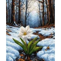Kép 2/9 - Első lélegzet - Számfestő készlet, kerettel (40x50 cm)