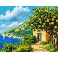 Kép 2/9 - Citromfa árnyékában - Számfestő készlet, kerettel (40x50 cm)