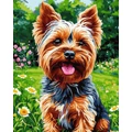 Kép 2/8 - Yorki - Számfestő készlet, kerettel (40x50 cm)