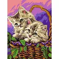 Kép 2/7 - Cicák a kosárban - Számfestő készlet, kerettel (30x40 cm)