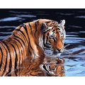Kép 2/9 - Tigris a vízben - Számfestő készlet, kerettel (40x50 cm)