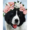 Kép 2/8 - Virágkoszorús kutya - Számfestő készlet, kerettel (40x50 cm)