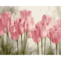 Kép 2/9 - Mályva tulipánok - Számfestő készlet, kerettel (40x50 cm)