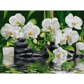 Kép 2/9 - Orchidea a vízen - Számfestő készlet kerettel 30x40 cm