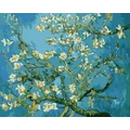 Kép 2/9 - Van Gogh: Virágzó mandulaágak - Számfestő készlet, kerettel (40x50 cm)