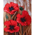 Kép 2/9 - Skarlát pipacs - Számfestő készlet, kerettel (40x50 cm)