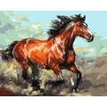 Kép 2/9 - Sebes vágta - Számfestő készlet, kerettel (40x50 cm)