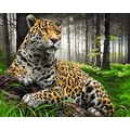 Kép 2/9 - Fenséges jaguár - Számfestő készlet, kerettel (40x50 cm)