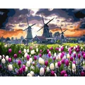 Kép 2/9 - Holland tulipánföld - Számfestő készlet, kerettel (40x50 cm)
