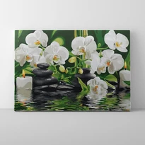 Orchidea a vízen - Számfestő készlet, kerettel (30x40 cm)
