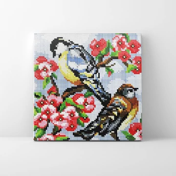 Dalos madarak - Gyémántszemes kirakó készlet, kerettel (20x20 cm)