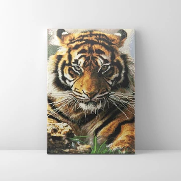 Tigris - Gyémántszemes kirakó készlet, kerettel (40x50 cm)