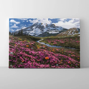 Virágzó hegyi rétek - Számfestő készlet, kerettel (40x50 cm)