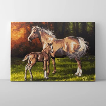 Csikóval a réten - Számfestő készlet, kerettel (40x50 cm)