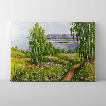 Vadvirágos rét - Számfestő készlet, kerettel (40x50 cm)