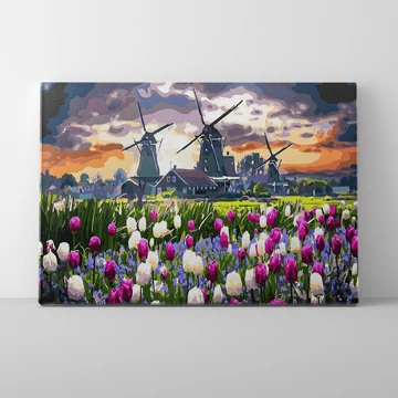 Holland tulipánföld - Számfestő készlet, kerettel (40x50 cm)