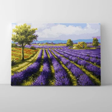 Levendula mező - Számfestő készlet, kerettel (40x50 cm)