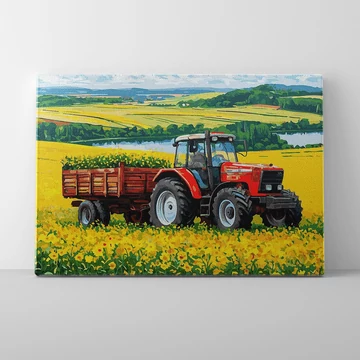 A föld ritmusa - Számfestő készlet, kerettel (40x50 cm)