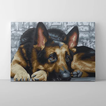 Társ egy életen át - Számfestő készlet, kerettel (40x50 cm)