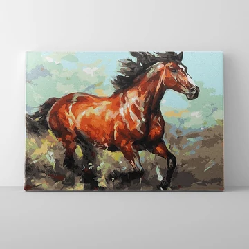 Sebes vágta - Számfestő készlet, kerettel (40x50 cm)