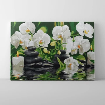 Orchidea a vízen - Számfestő készlet, kerettel (40x50 cm)