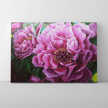 Virágzó pünkösdi rózsa - Számfestő készlet, kerettel (40x50 cm)