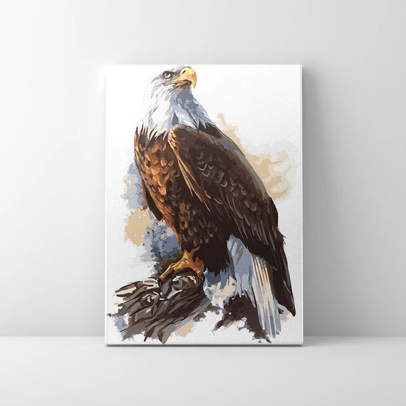 Ragadozómadár - Számfestő készlet, kerettel (30x40 cm)