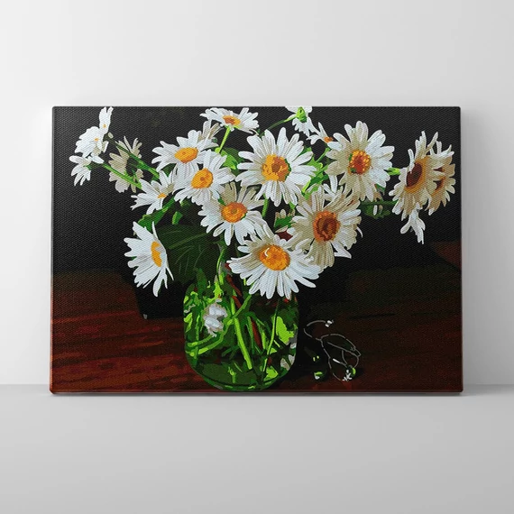 Kancsónyi kamilla - Számfestő készlet, kerettel (40x50 cm)