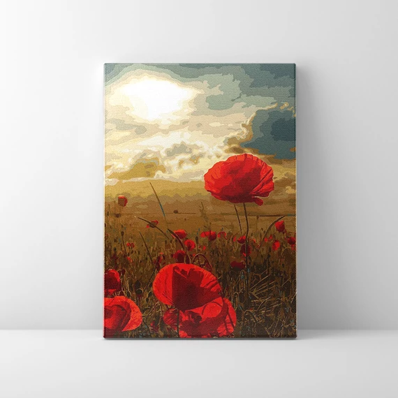 Borongós pipacsos - Számfestő készlet, kerettel (40x50 cm)