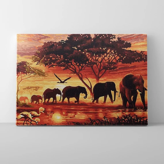 Afrikai hangulat - Számfestő készlet, kerettel (40x50 cm)