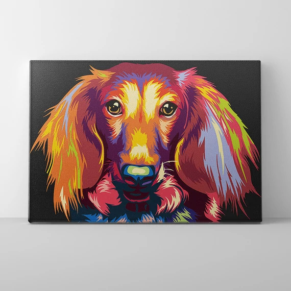 Egy tacskó szemével - Számfestő készlet, kerettel (30x40 cm)
